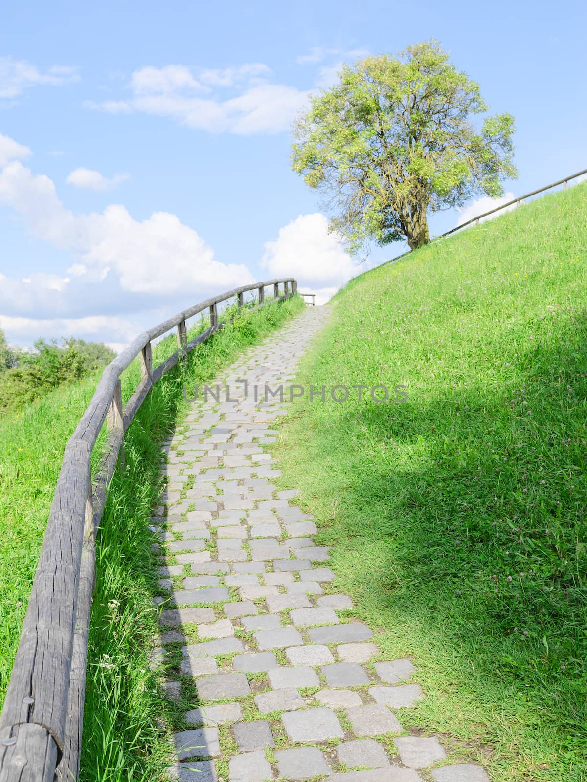 Long and difficult upstairs road, paved with cobble stones, on top of a green summer hill