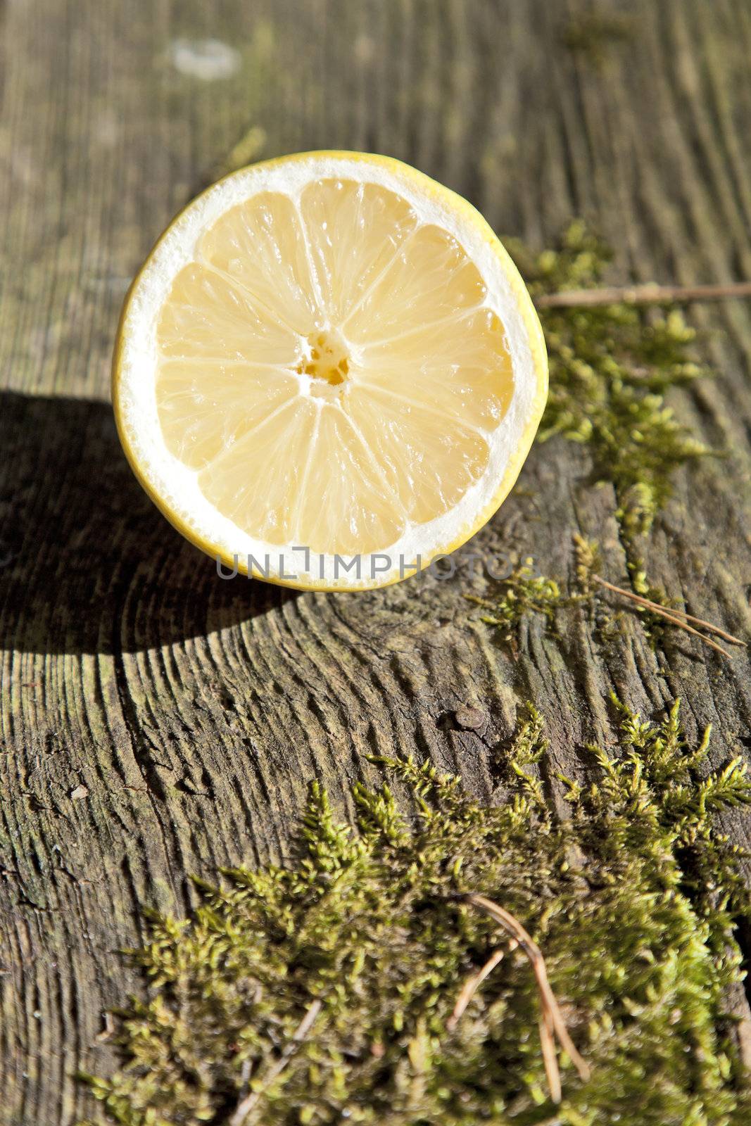 Lemon fruit on nature wooden background