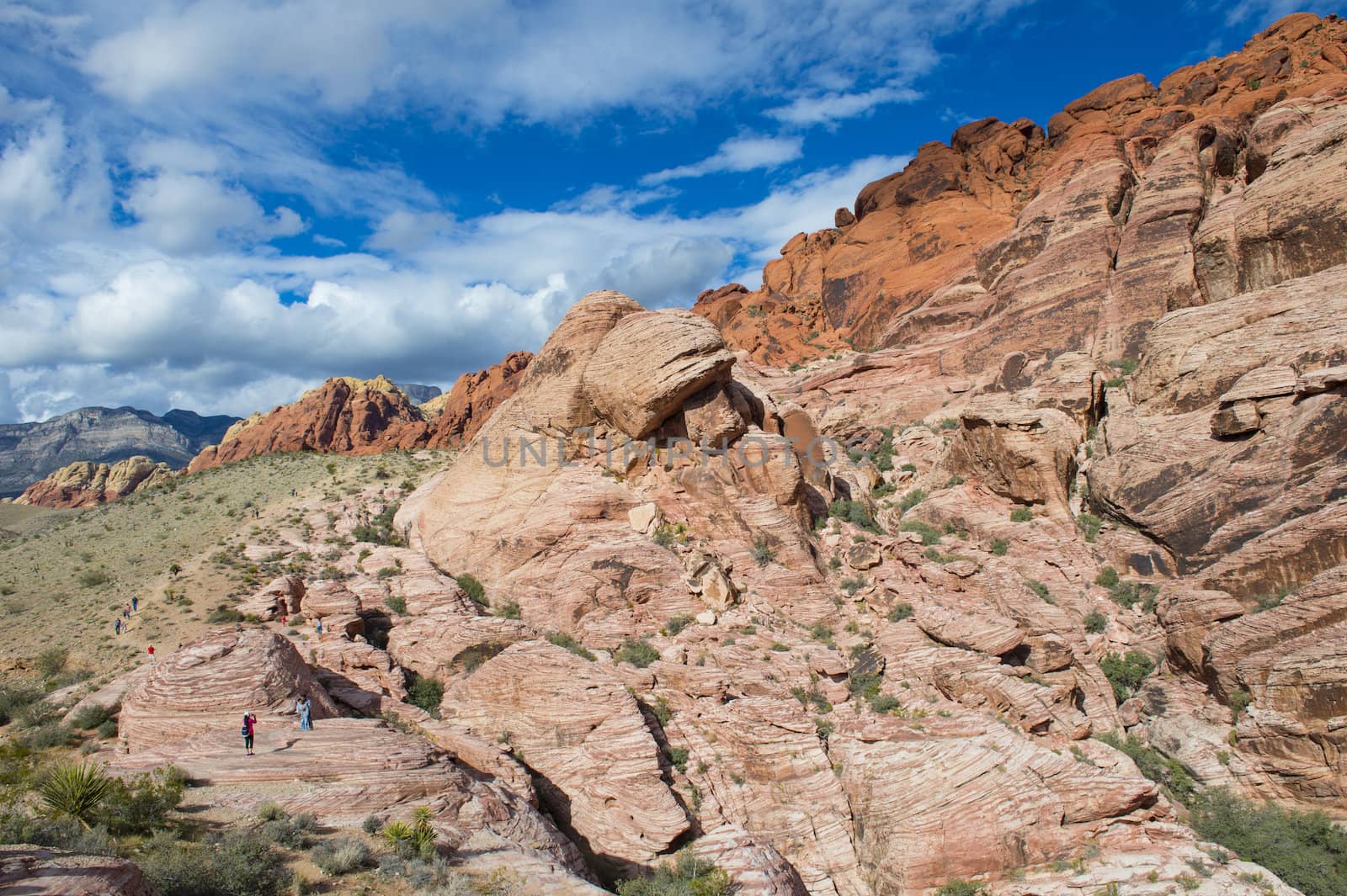 Red Rock canyon , Nevada. by kobby_dagan