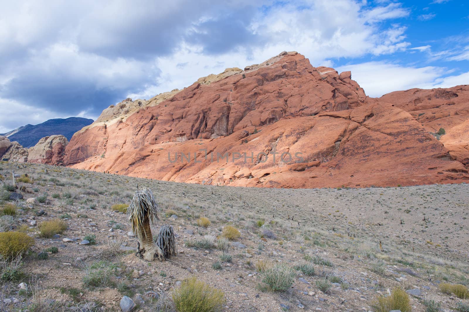 The Red Rock canyon near las vegas , Nevada.
