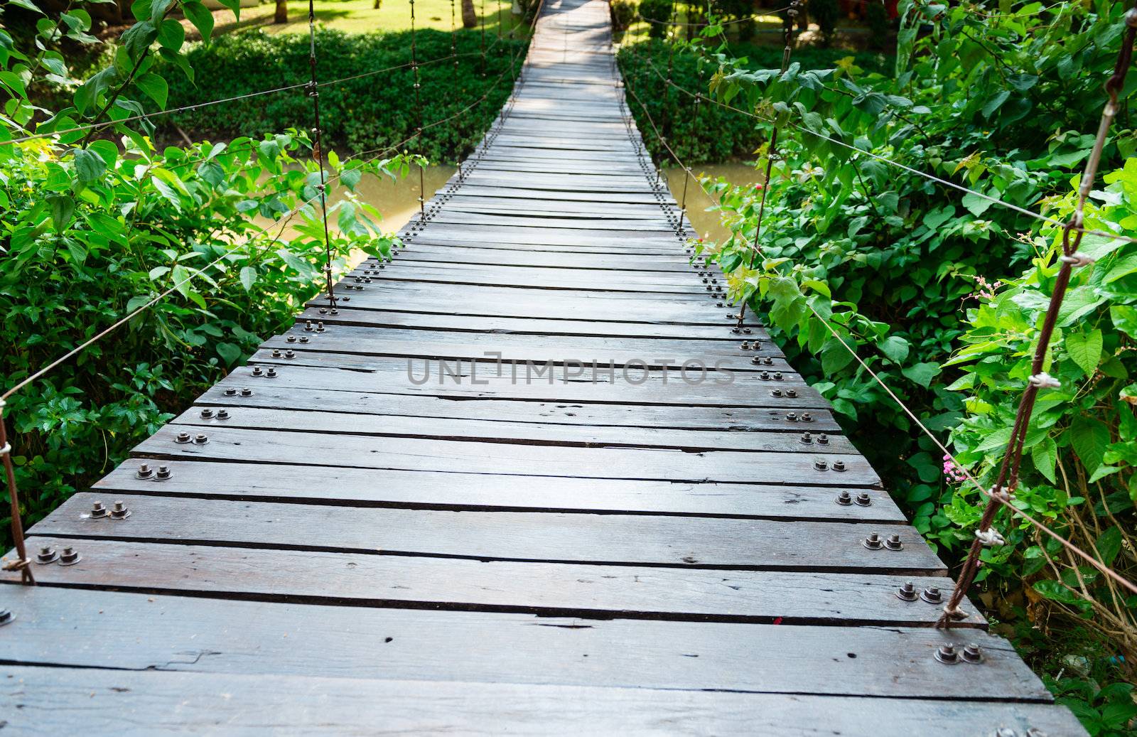 Wooden long rope bridge cross the stream in green tropical nature