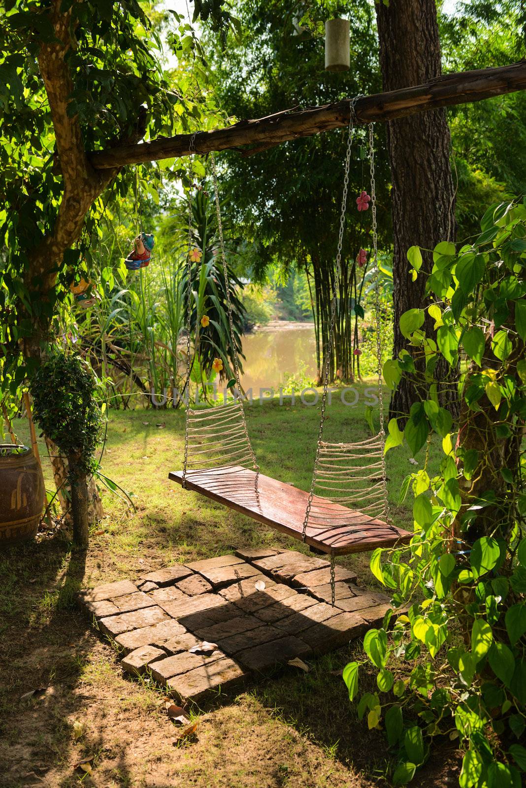 Sunny lone wooden swing seat in a tropical green park