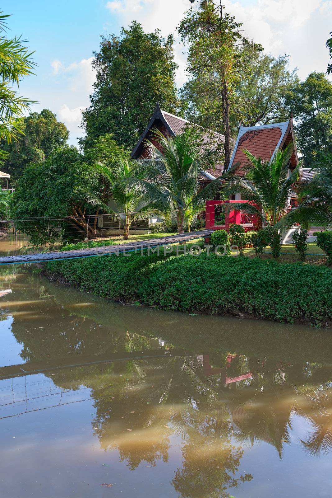 Tropical park with wooden long rope pendant bridge cross the stream 