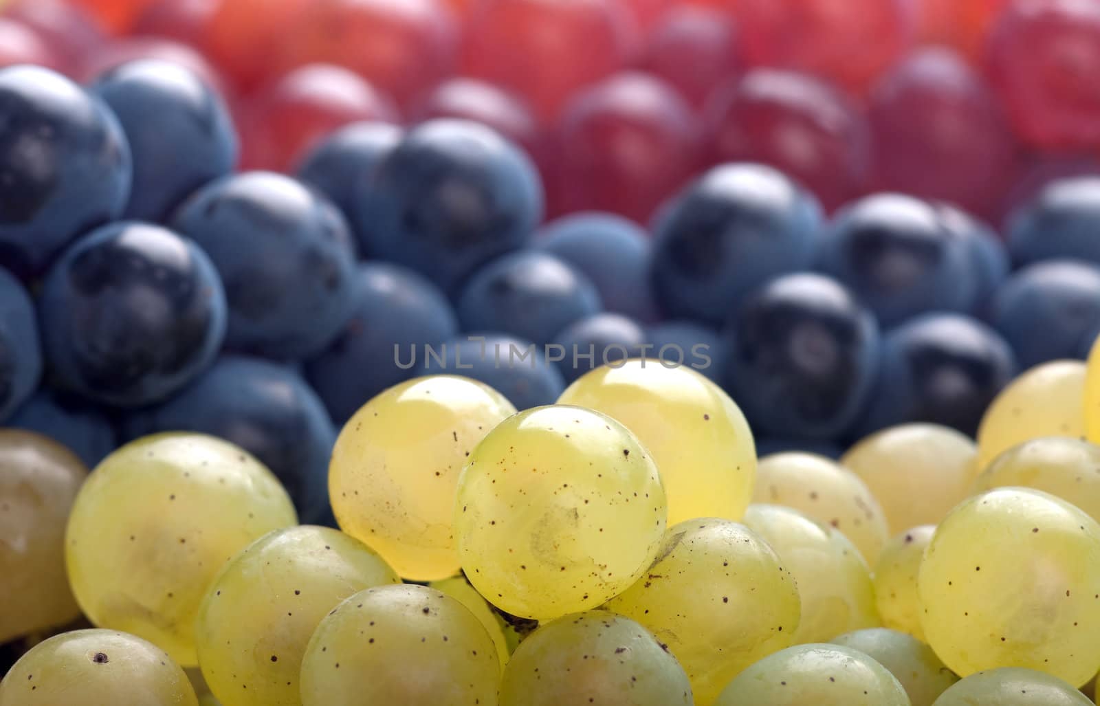 Fresh Picked White, Pink and Red Grapes
