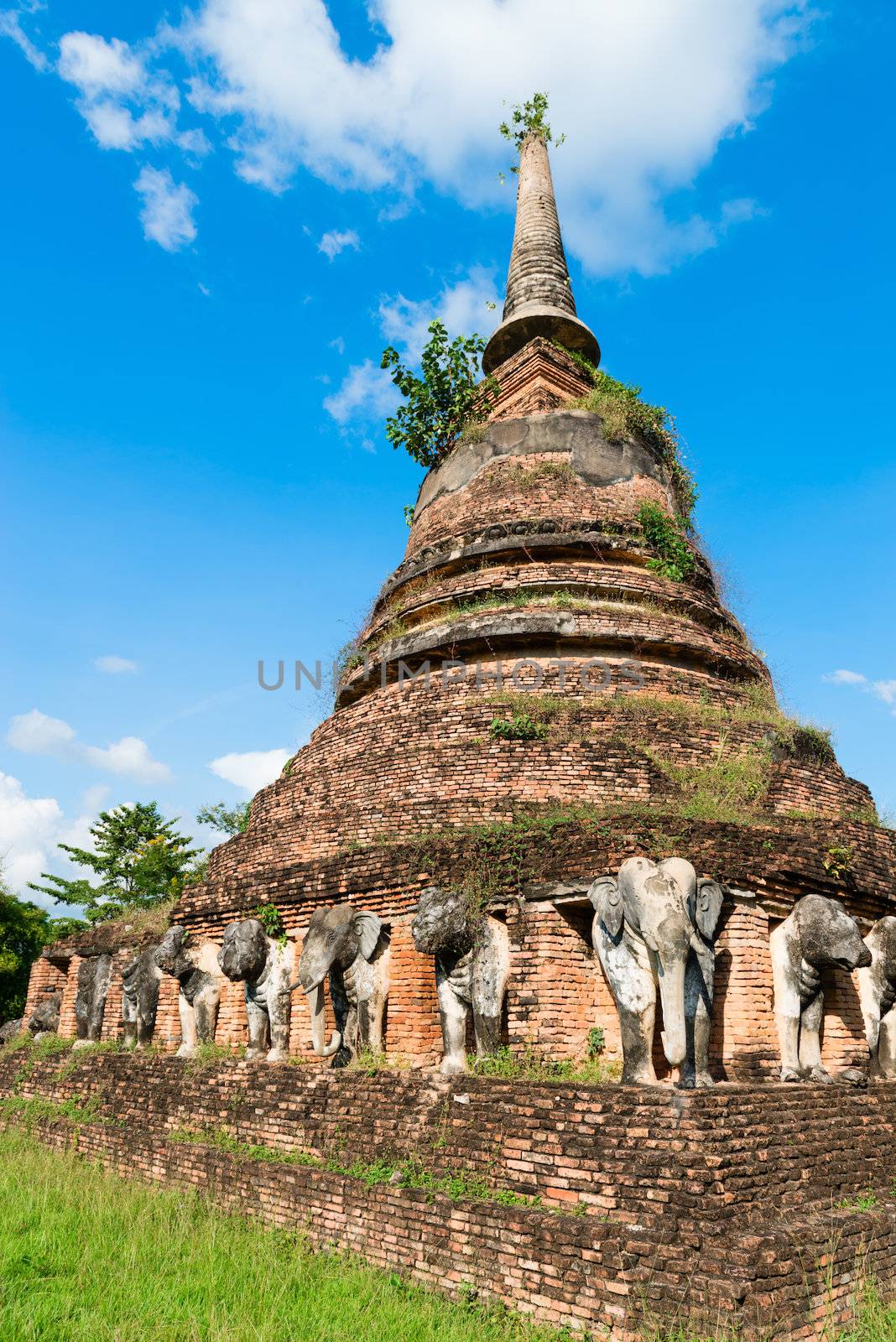 Elephants statues on ruins of Buddhist stupa or chedi in Sukhothai historical park in Wat Chang Lom temple. 