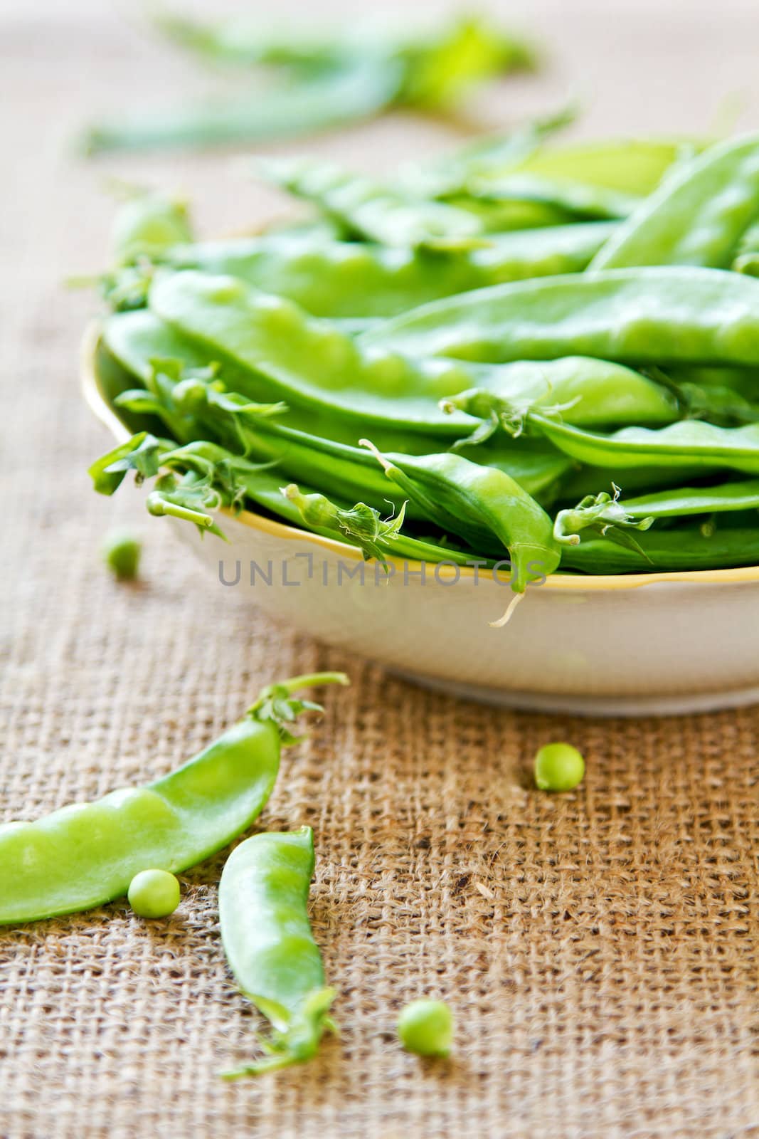 Snow pea by vanillaechoes
