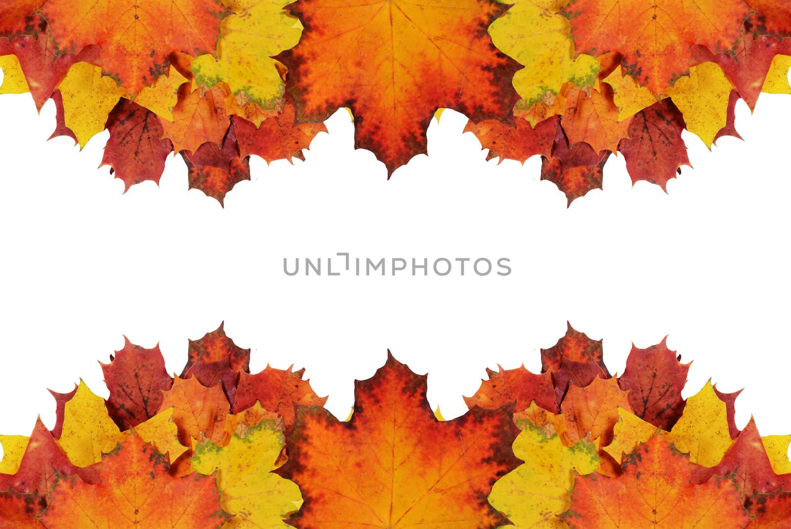 autumn frame