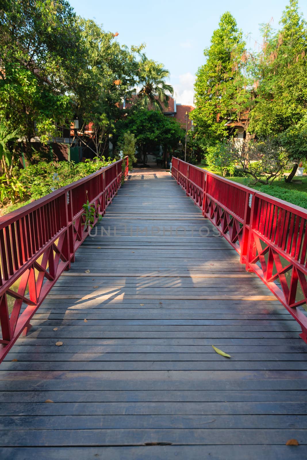 Wooden bridge with red fence  in green tropical park 
