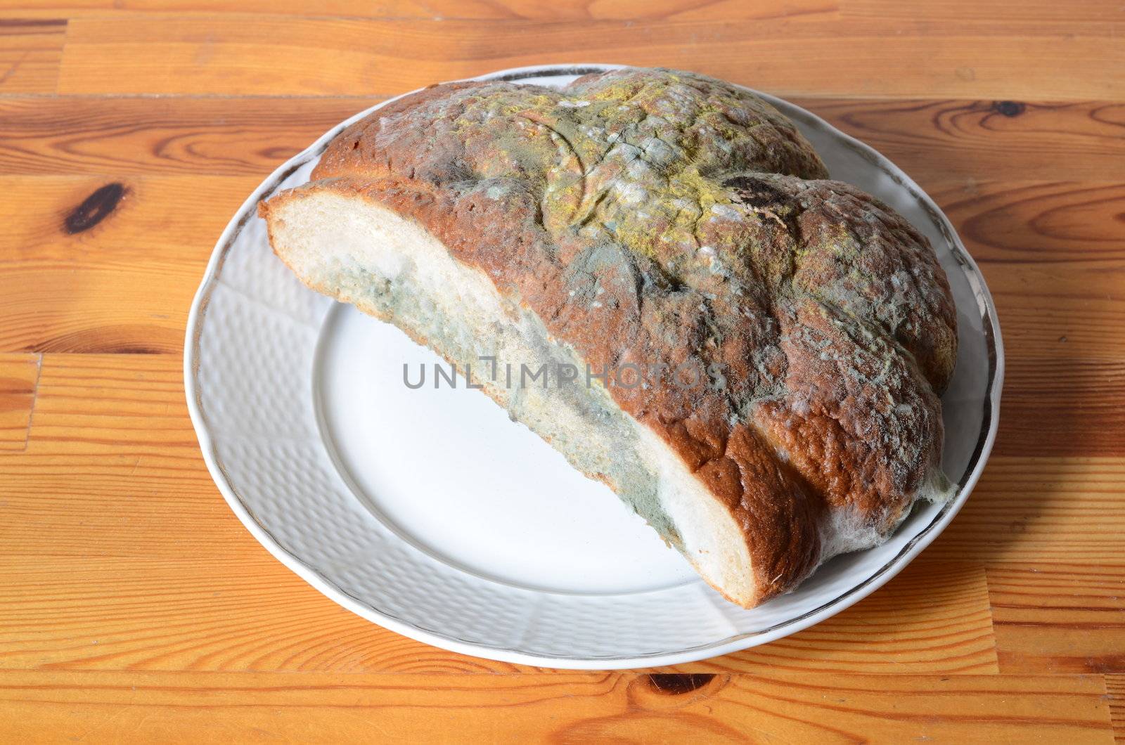 moldy bread