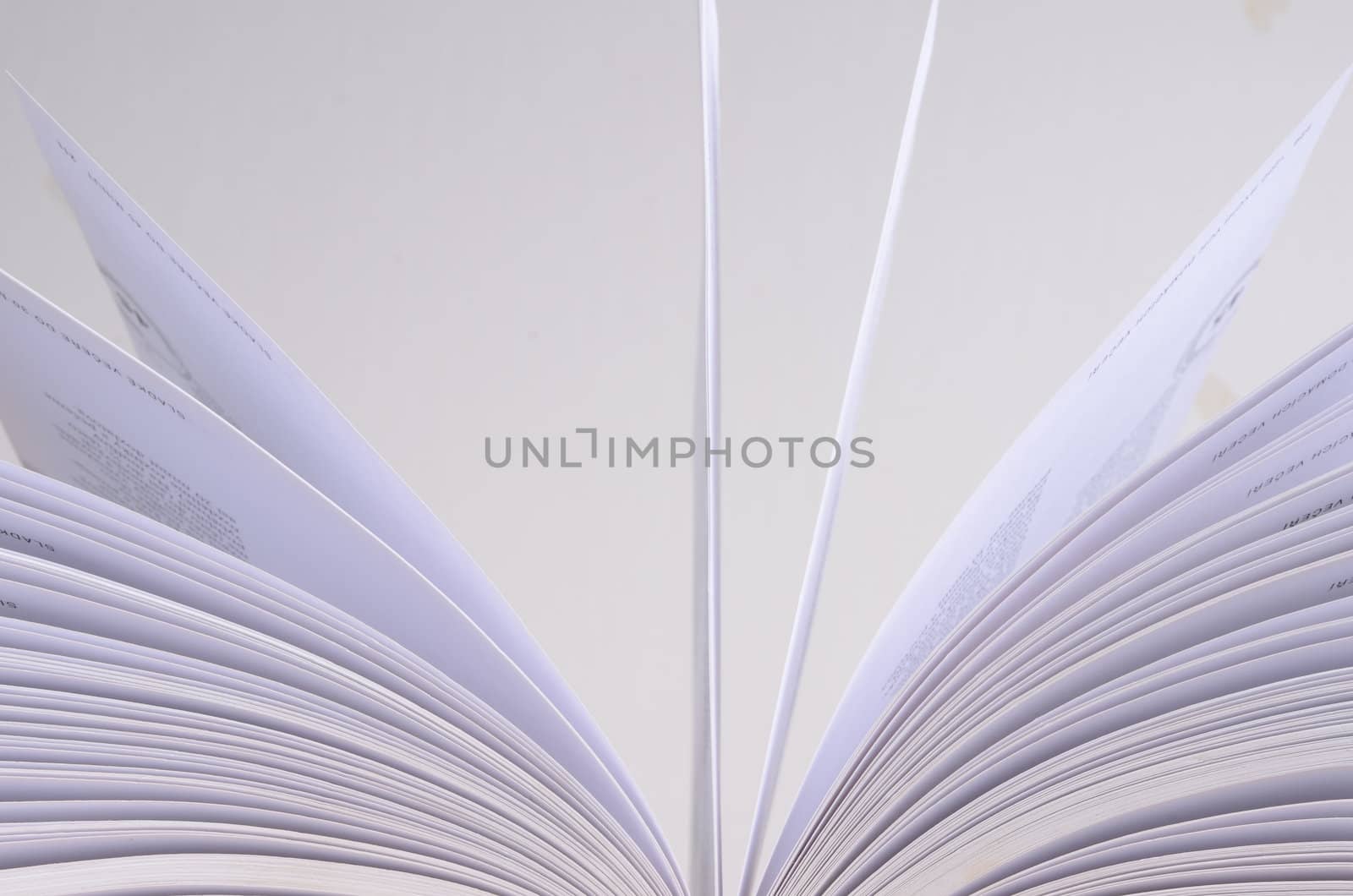 opened book detail 