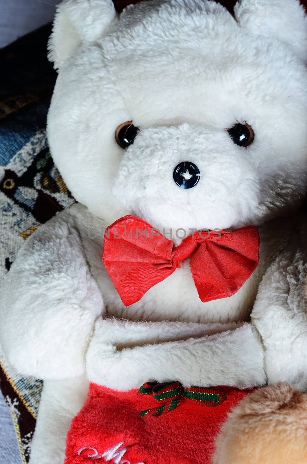 teddy bear