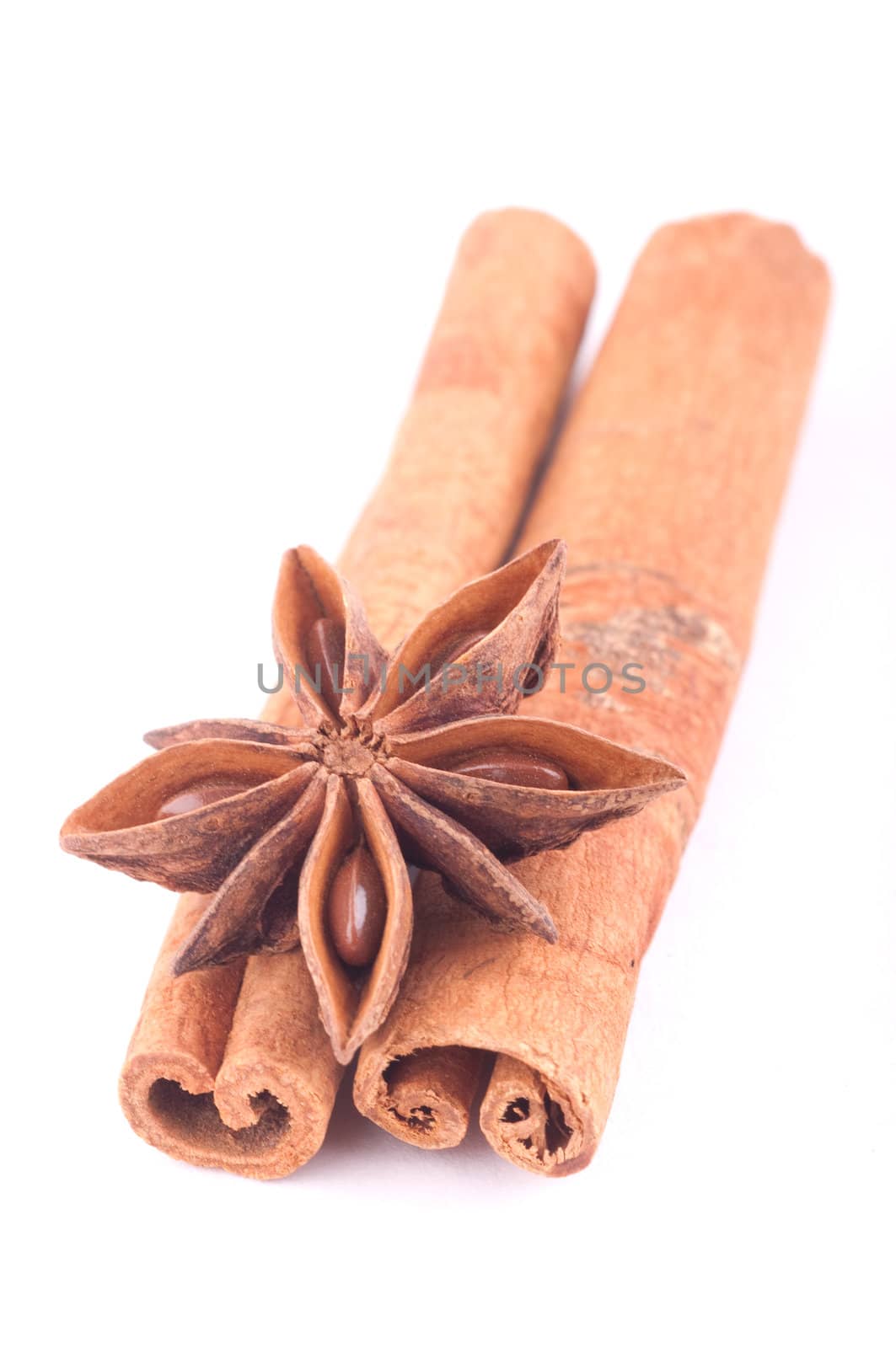 star anise with cinnamon sticks isolated on white by Rainman