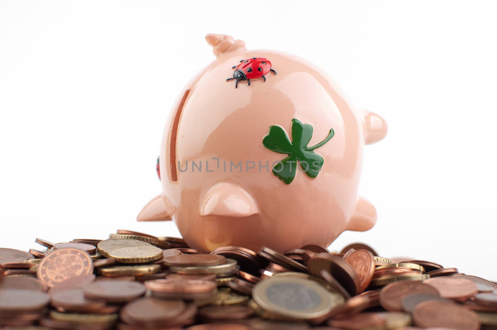 Piggy Bank by Rainman