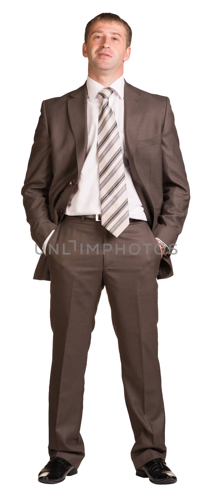 Standing businessman. Isolated on the white background.