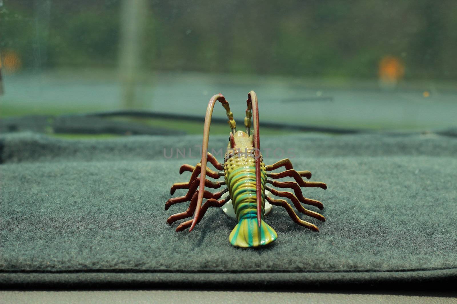 It's a mantis shrimp.Look so delicious.But it made from plastic.