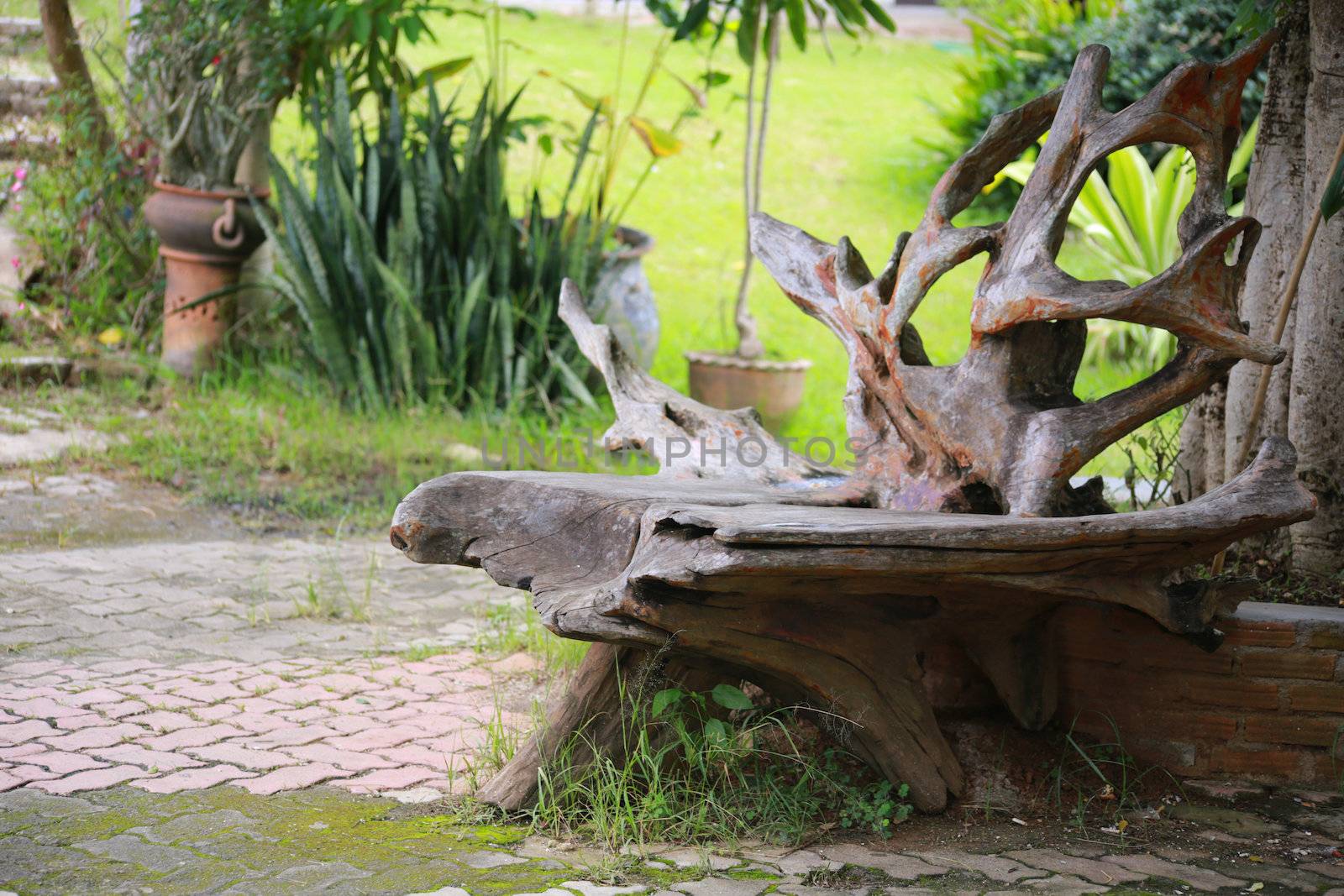 There is a wooden chair in the garden.