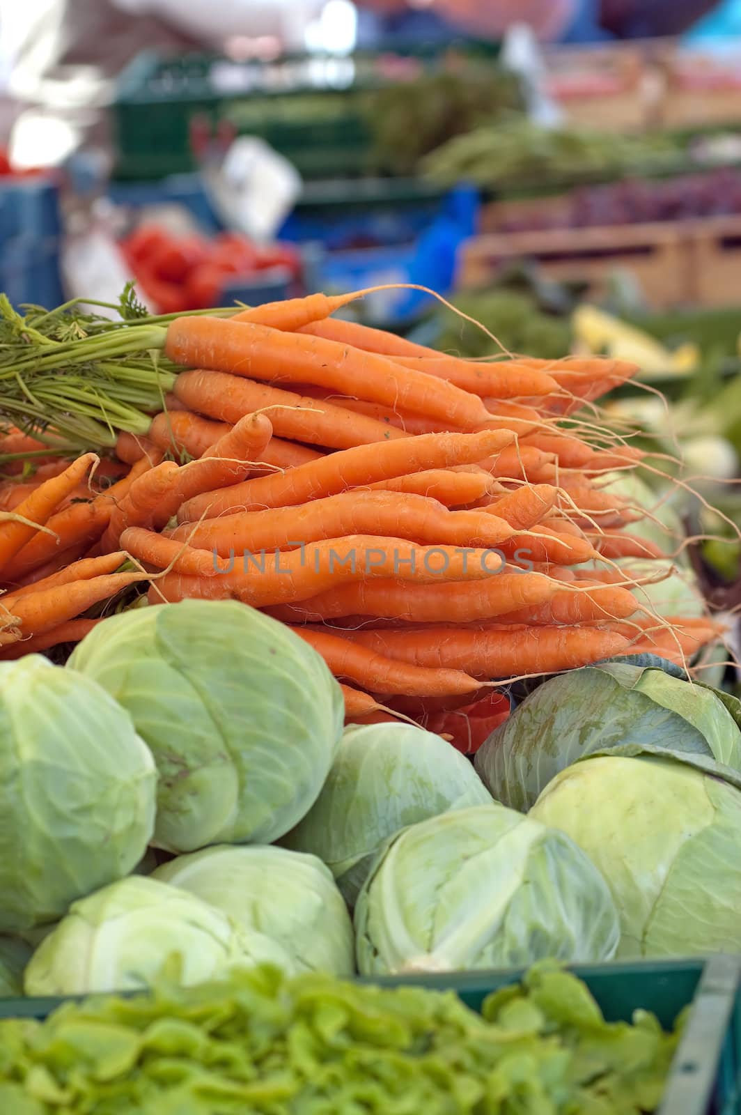 Fresh Vegetables by Rainman