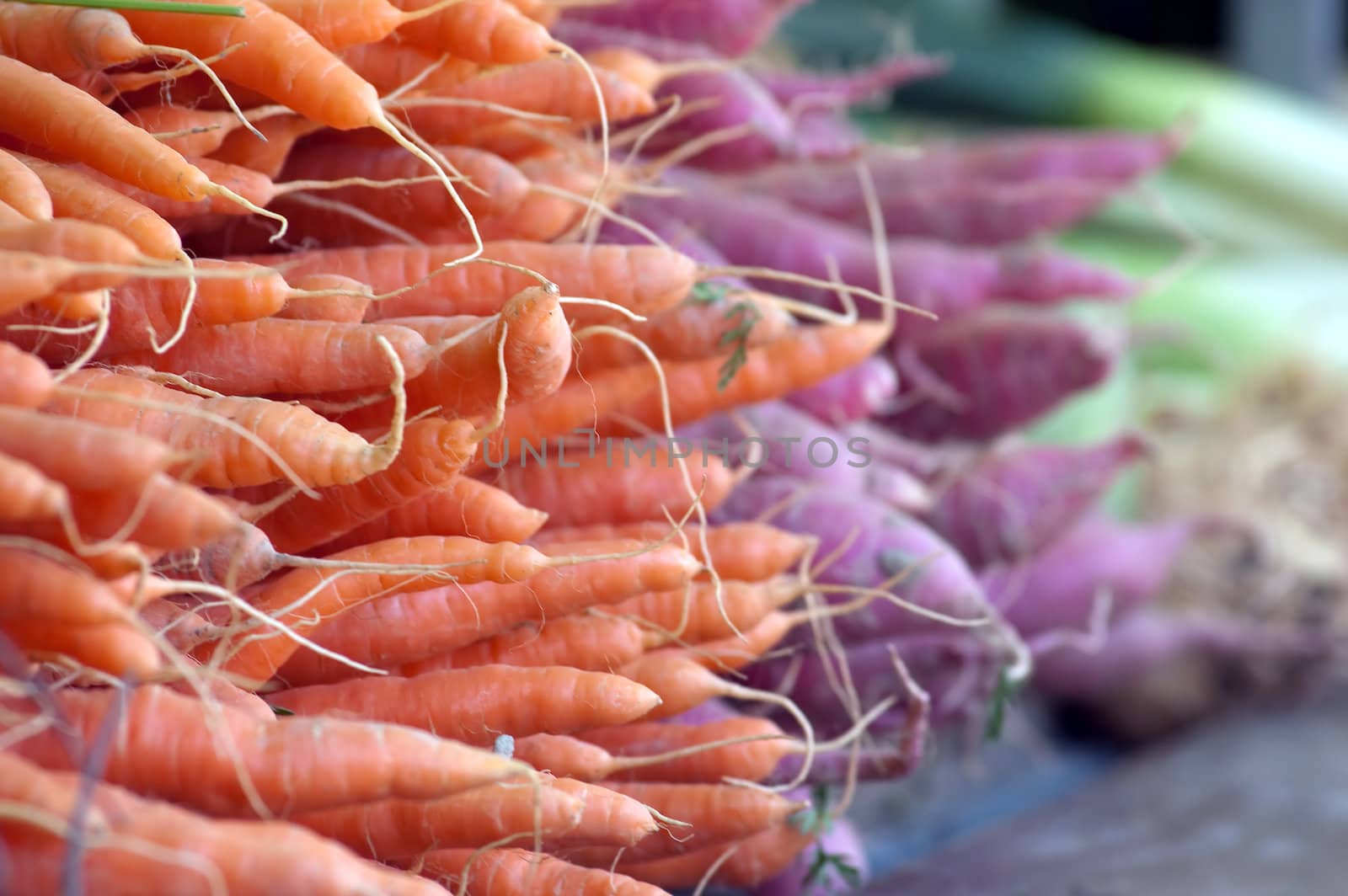 Fresh Carrots by Rainman