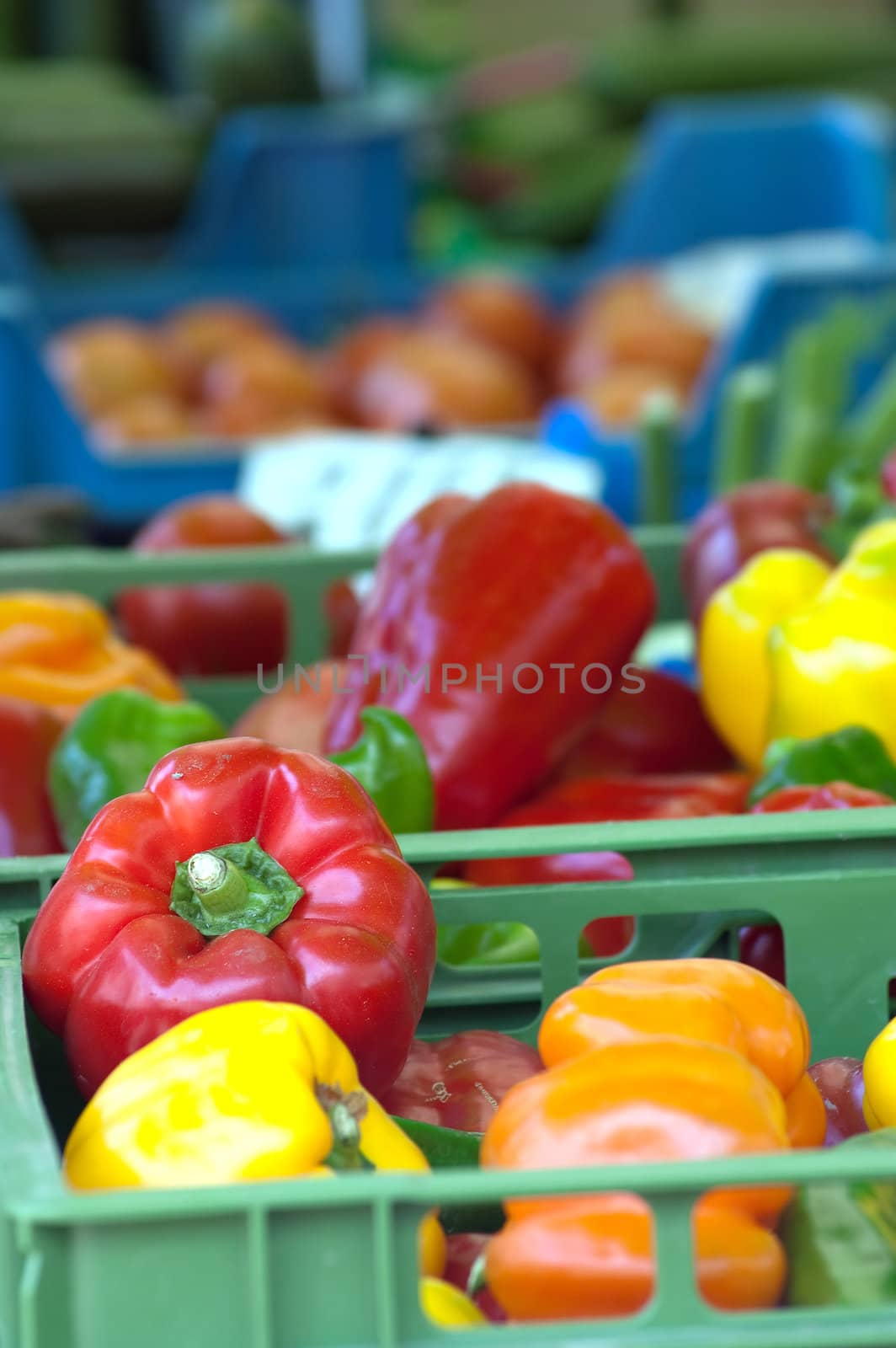 Red, green and yellow sweet bell peppers at the local market
