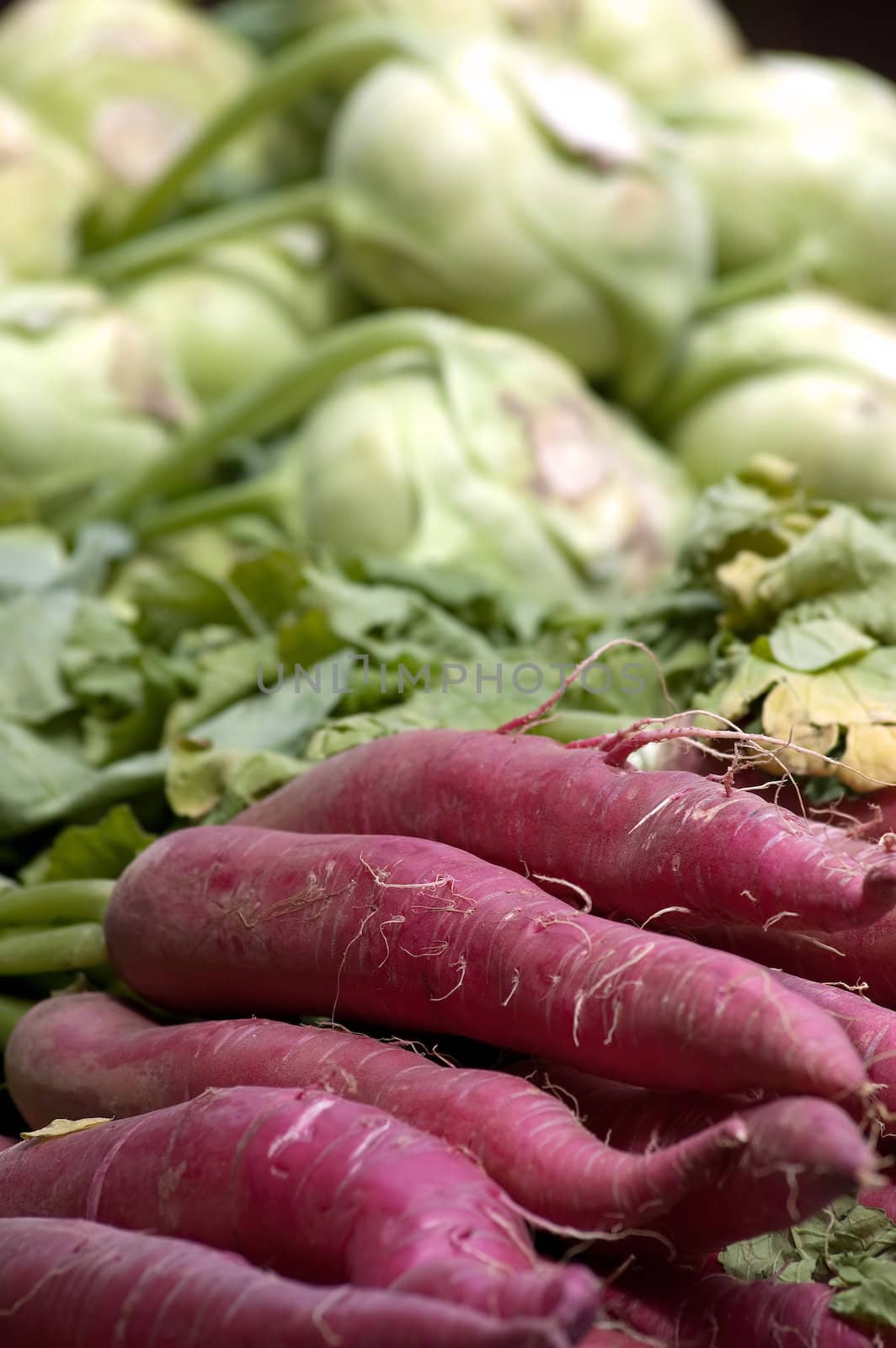 Fresh Radish And Kohlrabi Cabbage by Rainman