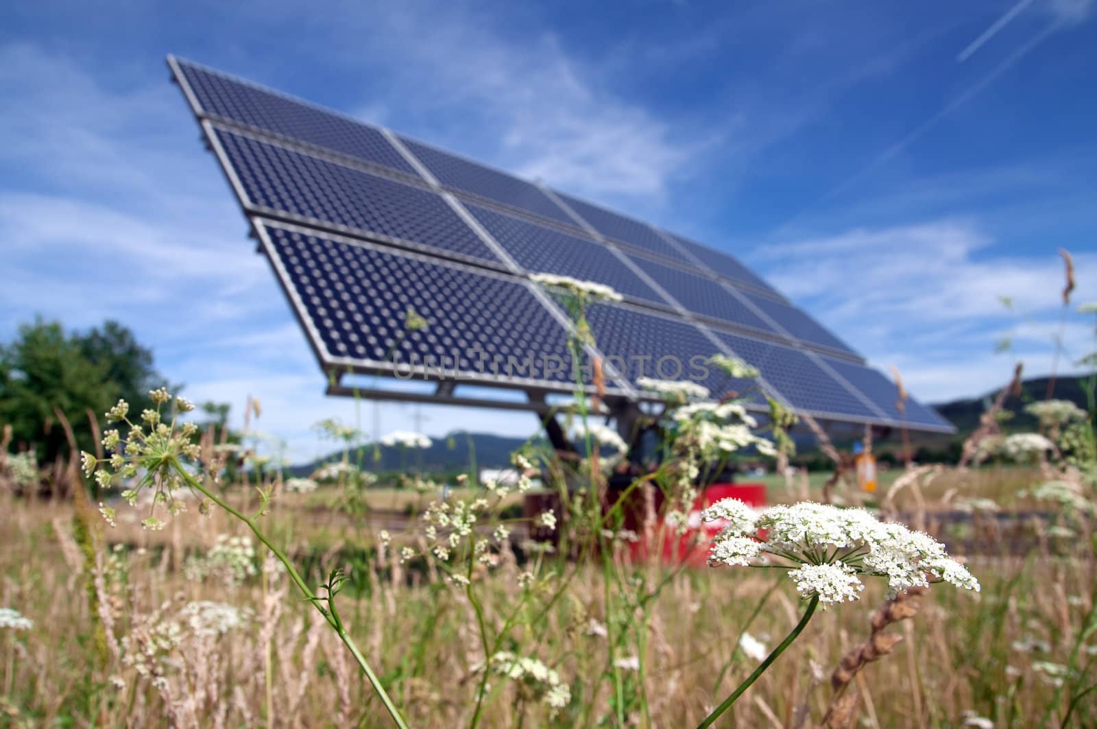 Solar panel and flower by Rainman
