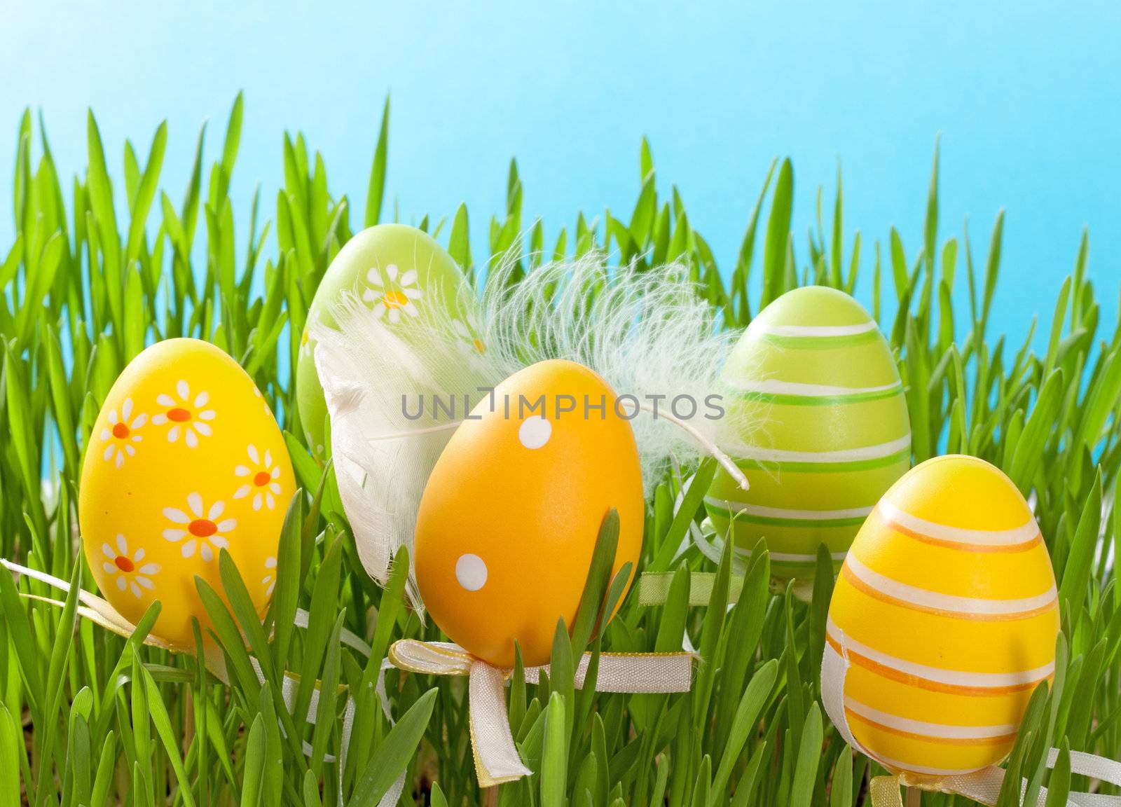 Colorful Easter eggs on a blue background