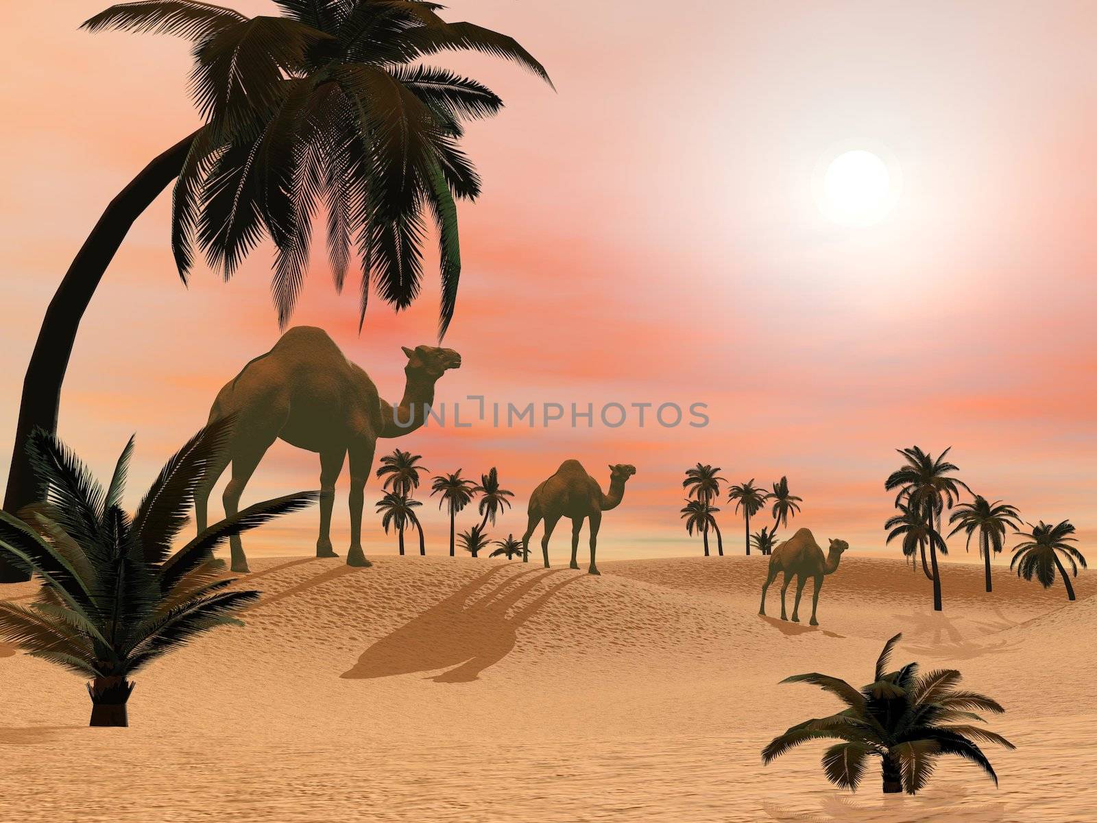 Camels standing in a sand desert with palmtrees by sunset light - 3D render