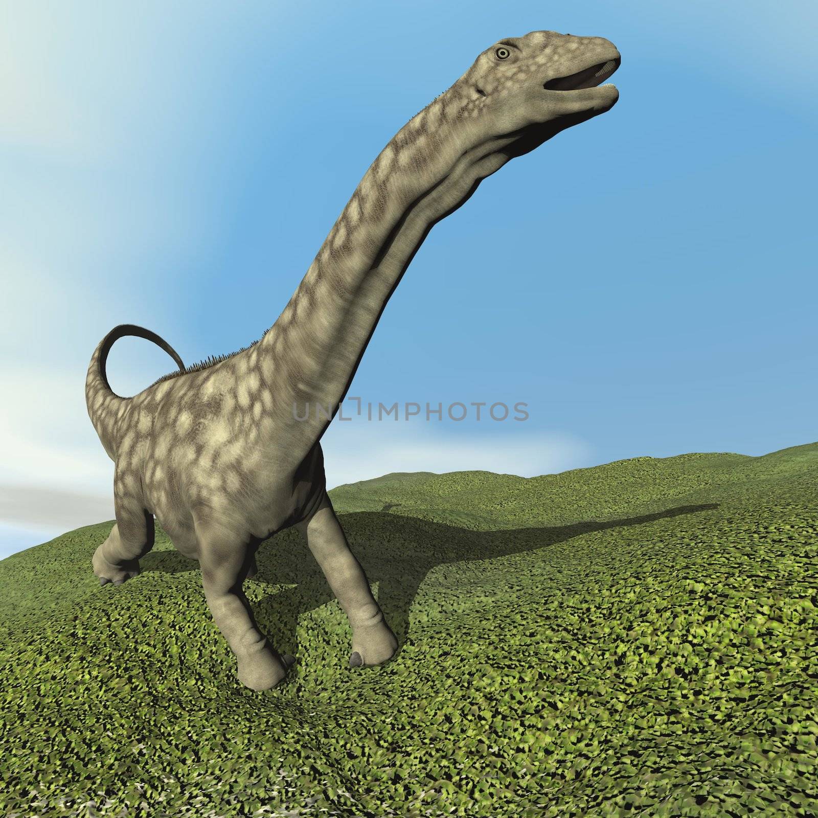 Argentinosaurus dinosaur walking on the grass by day - 3D render