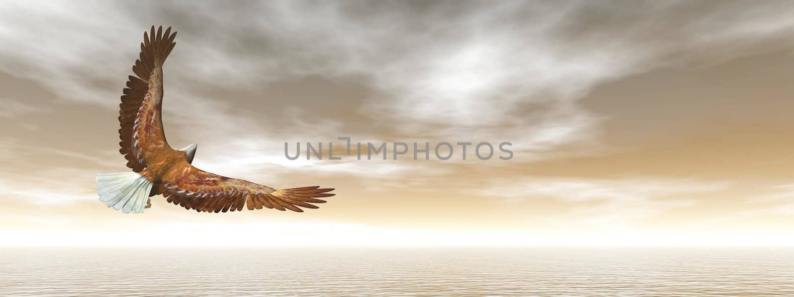 Bald eagle flying in brown sky - 3D render