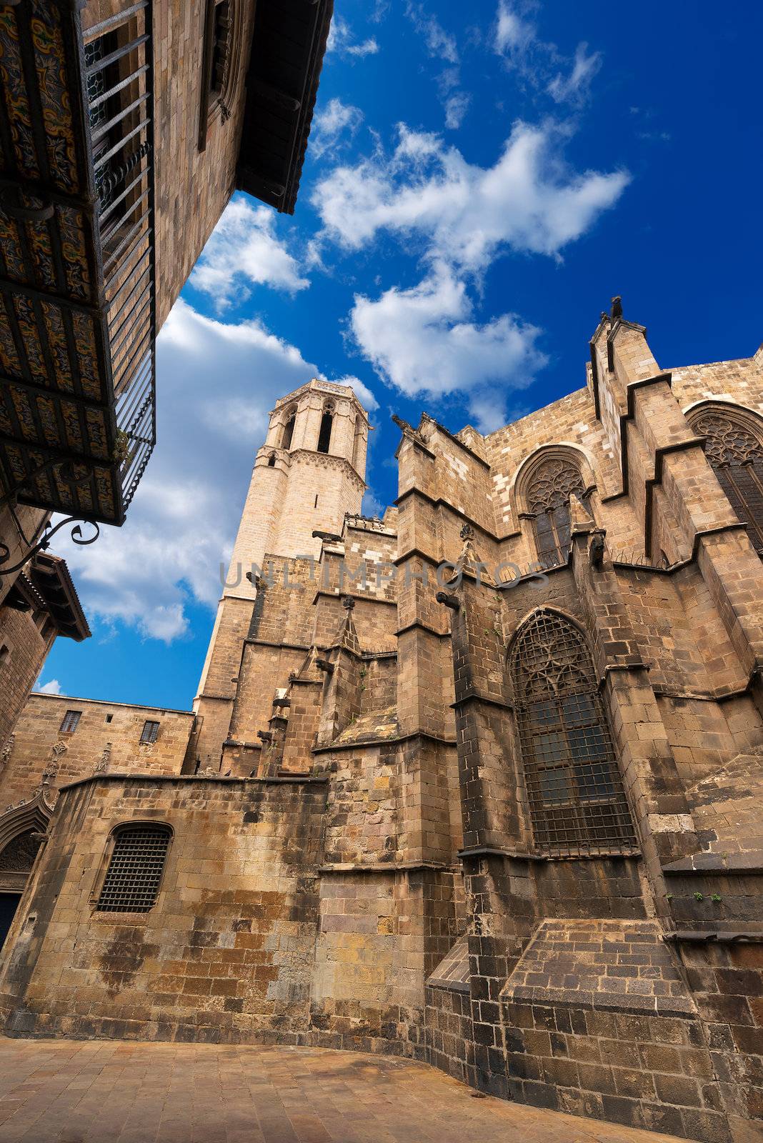 Cathedral of the Holy Cross and Saint Eulalia (Catedral de la Santa Cruz y Santa Eulalia) in Barcelona, Catalonia, Spain - 13th, 15th centuries