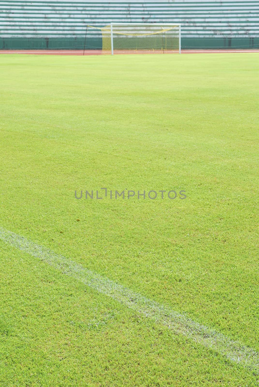 Green grass soccer field