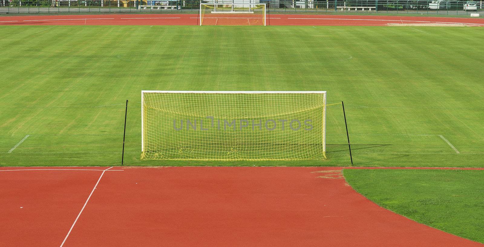 Goal and Green grass soccer field