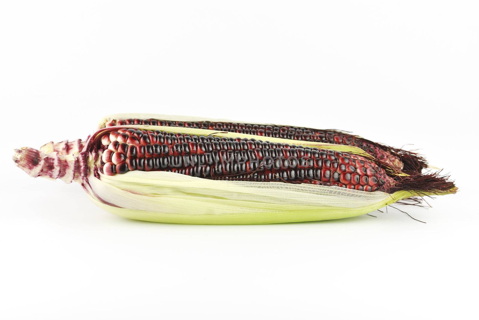 Harvested corn in red and purple colors