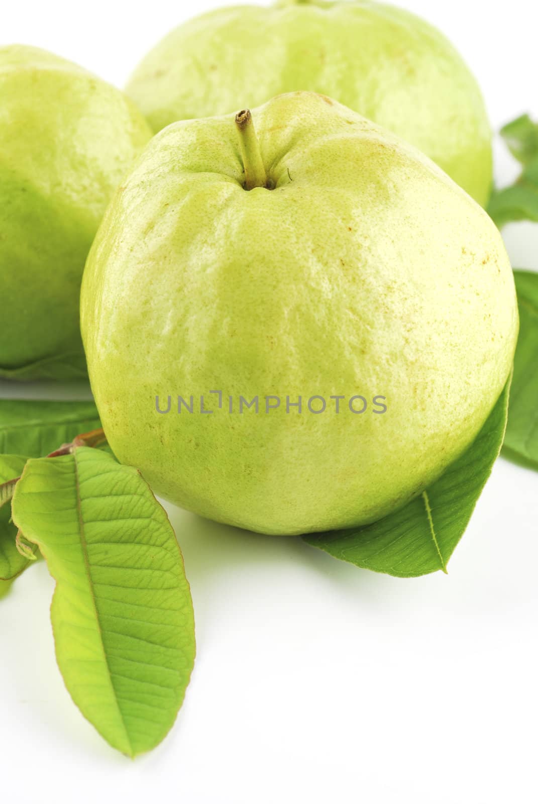Guava (tropical fruit) on white background