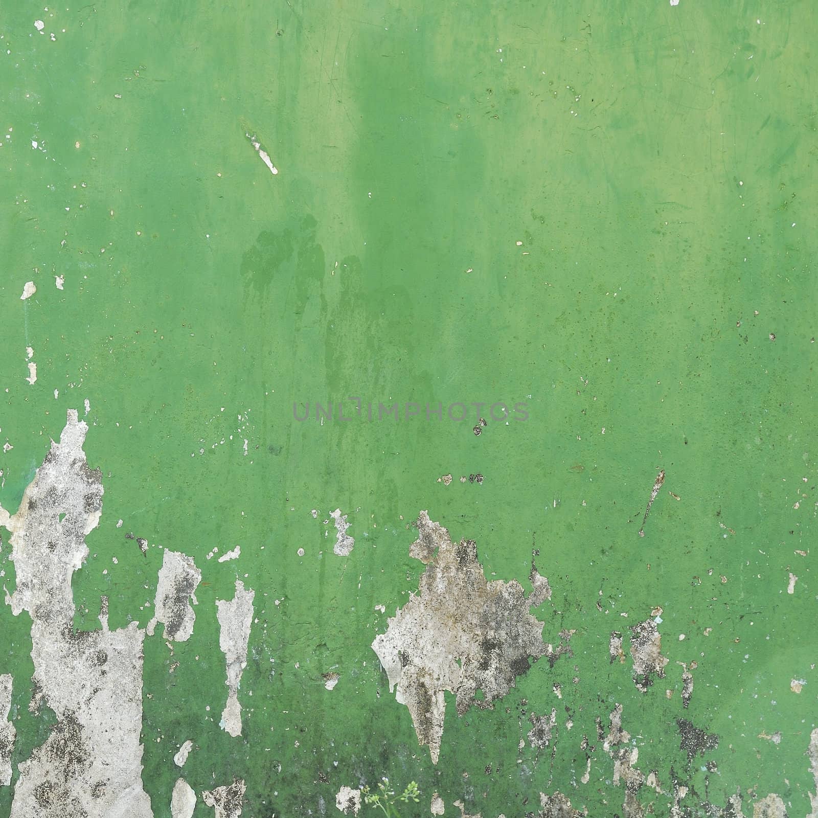 Texture of old concrete grunge wall background