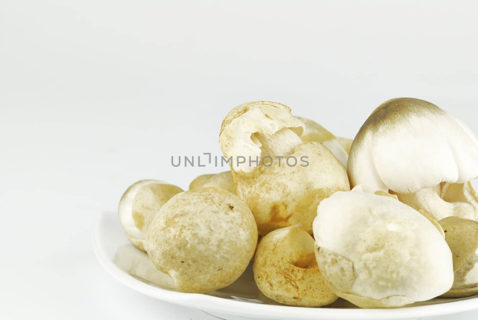 Straw mushroom  on white background