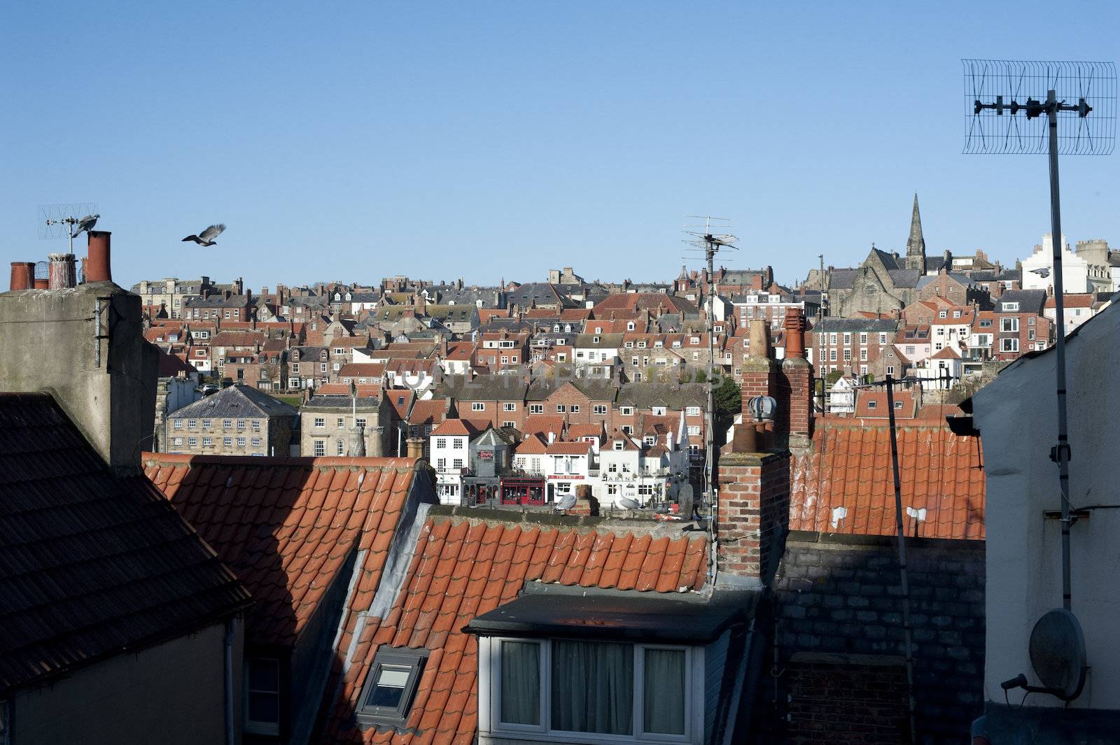 View over rooftops of a town by stockarch