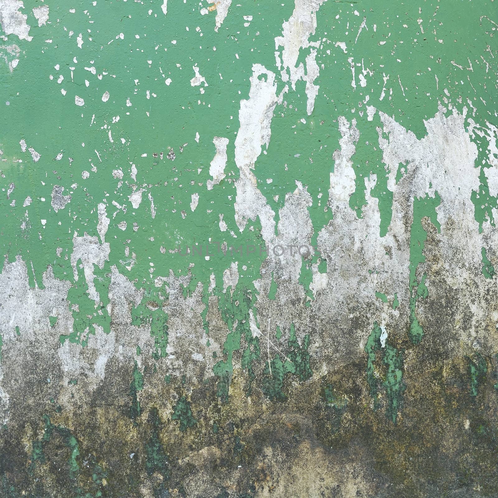 Texture of old concrete grunge wall background by teen00000