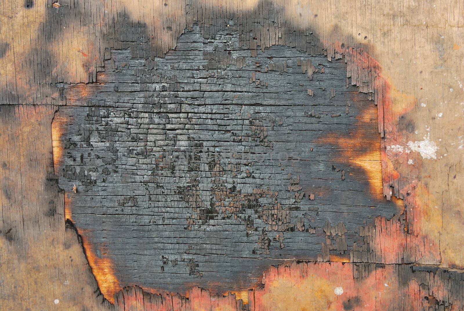 burnt wood texture