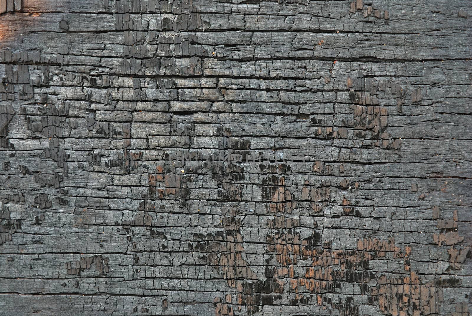 burnt wood texture