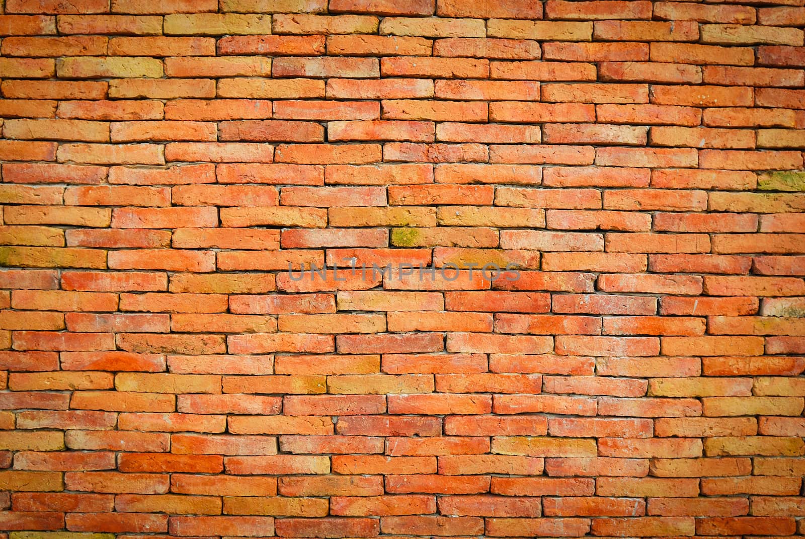 Background of brick wall texture