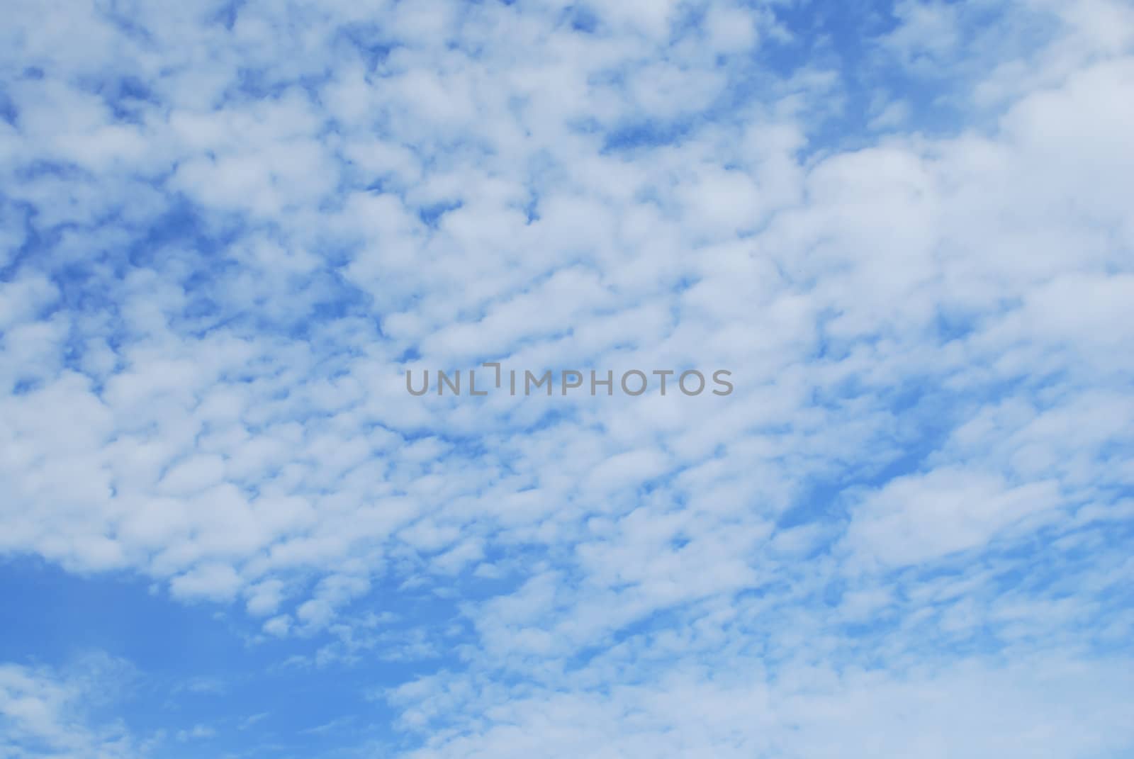 Cloud in blue sky