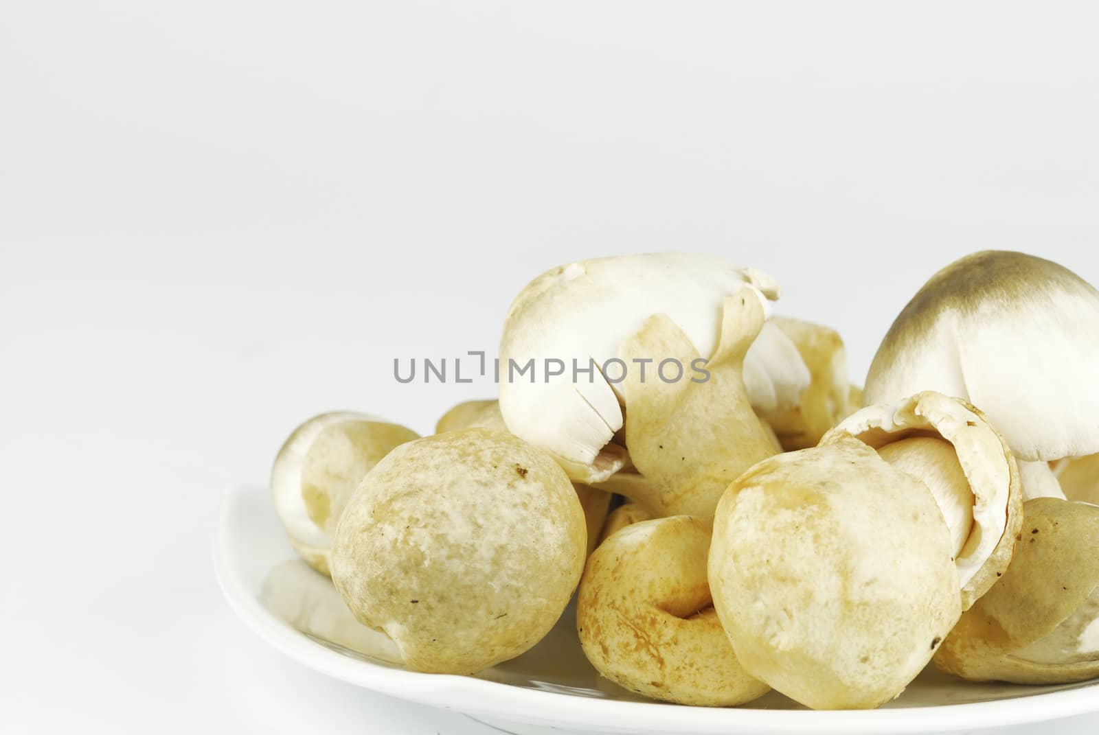 Straw mushroom  on white background