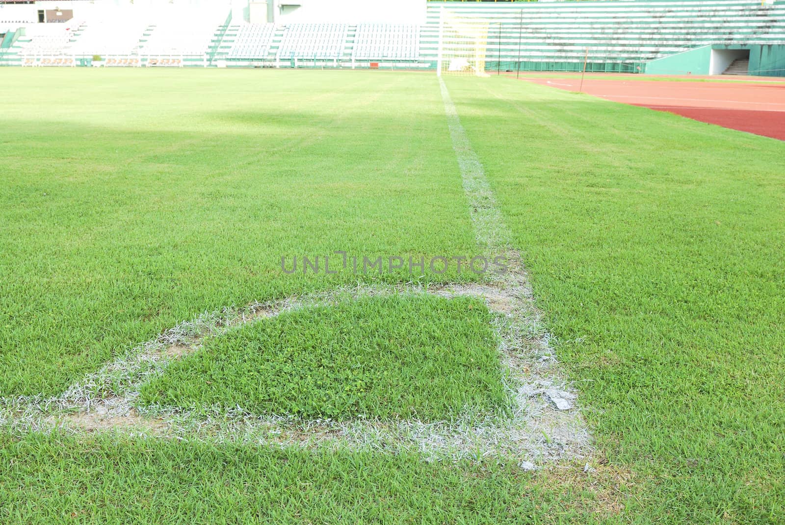 Green grass soccer field