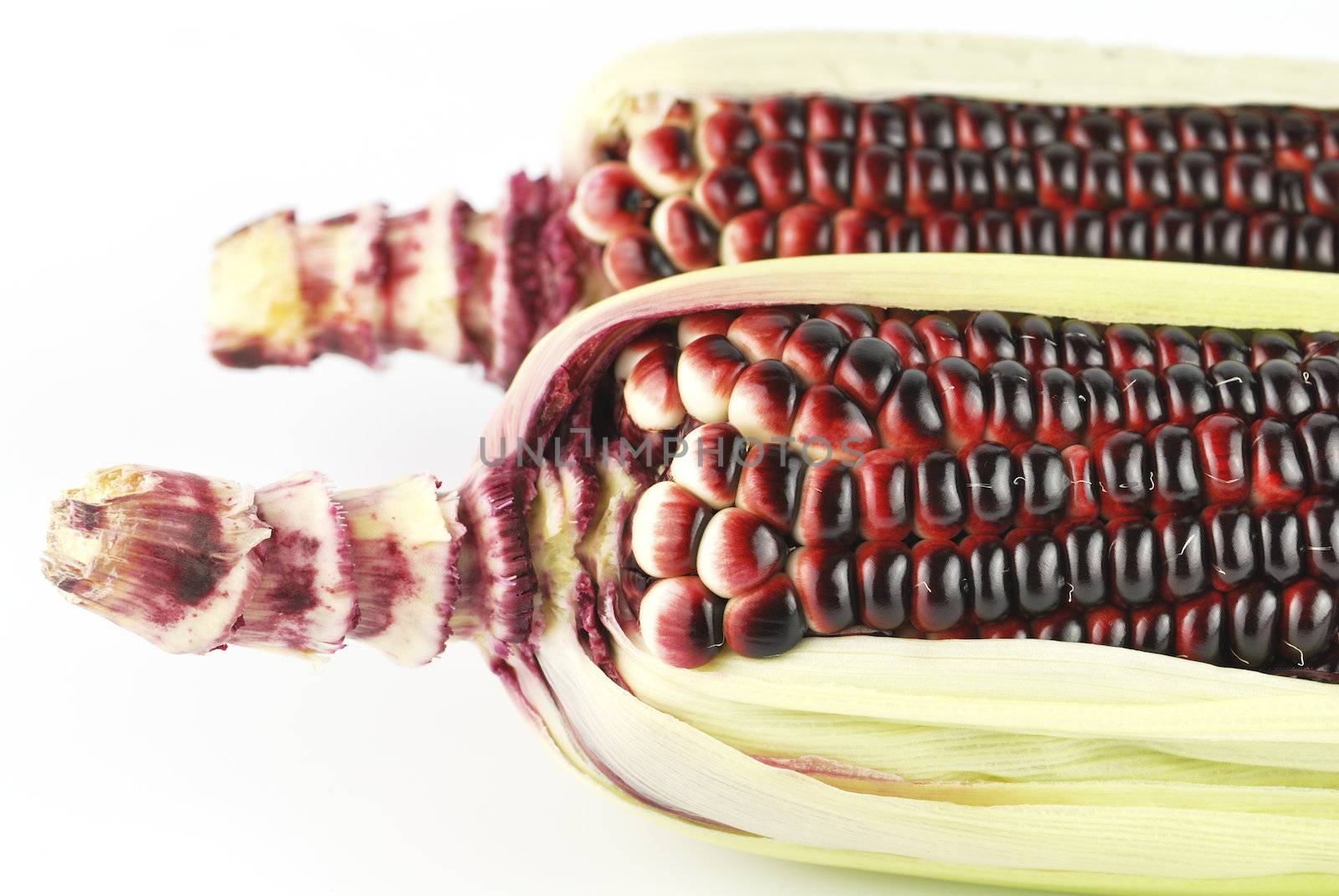 Harvested corn in red and purple colors