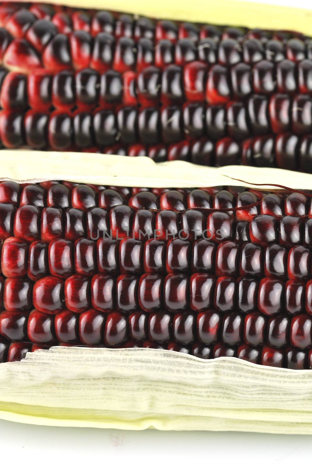 Harvested corn in red and purple colors