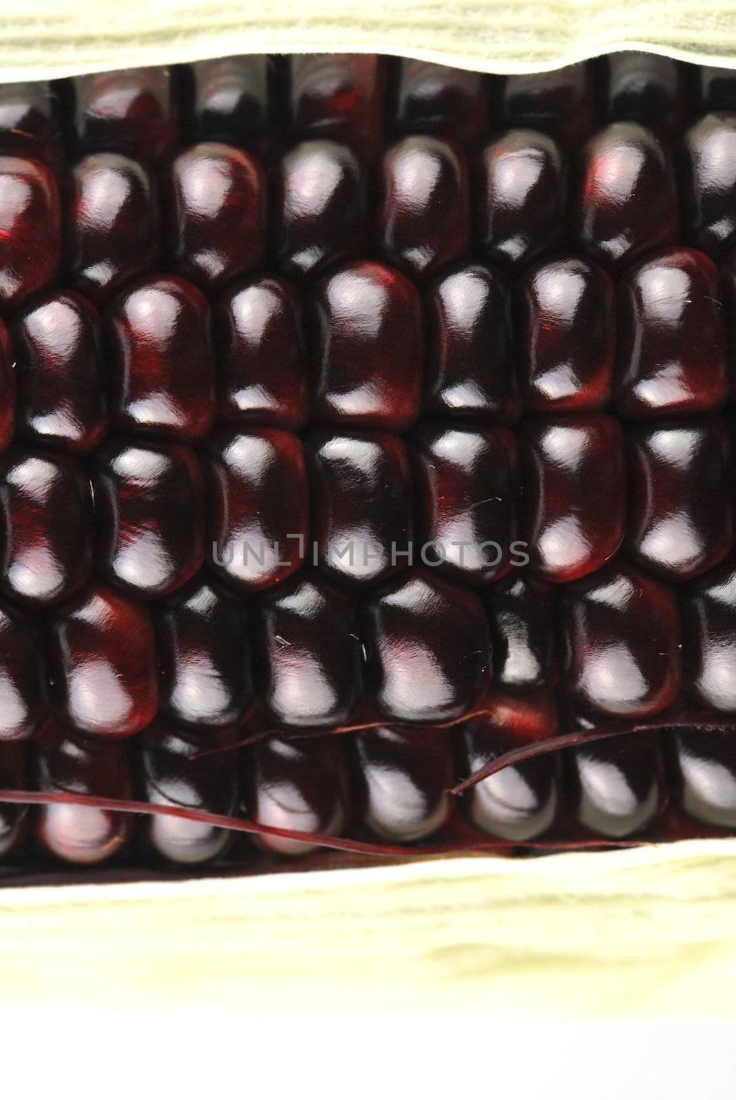 Harvested corn in red and purple colors
