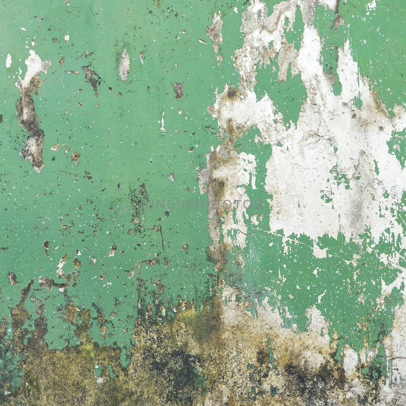 Texture of old concrete grunge wall background by teen00000