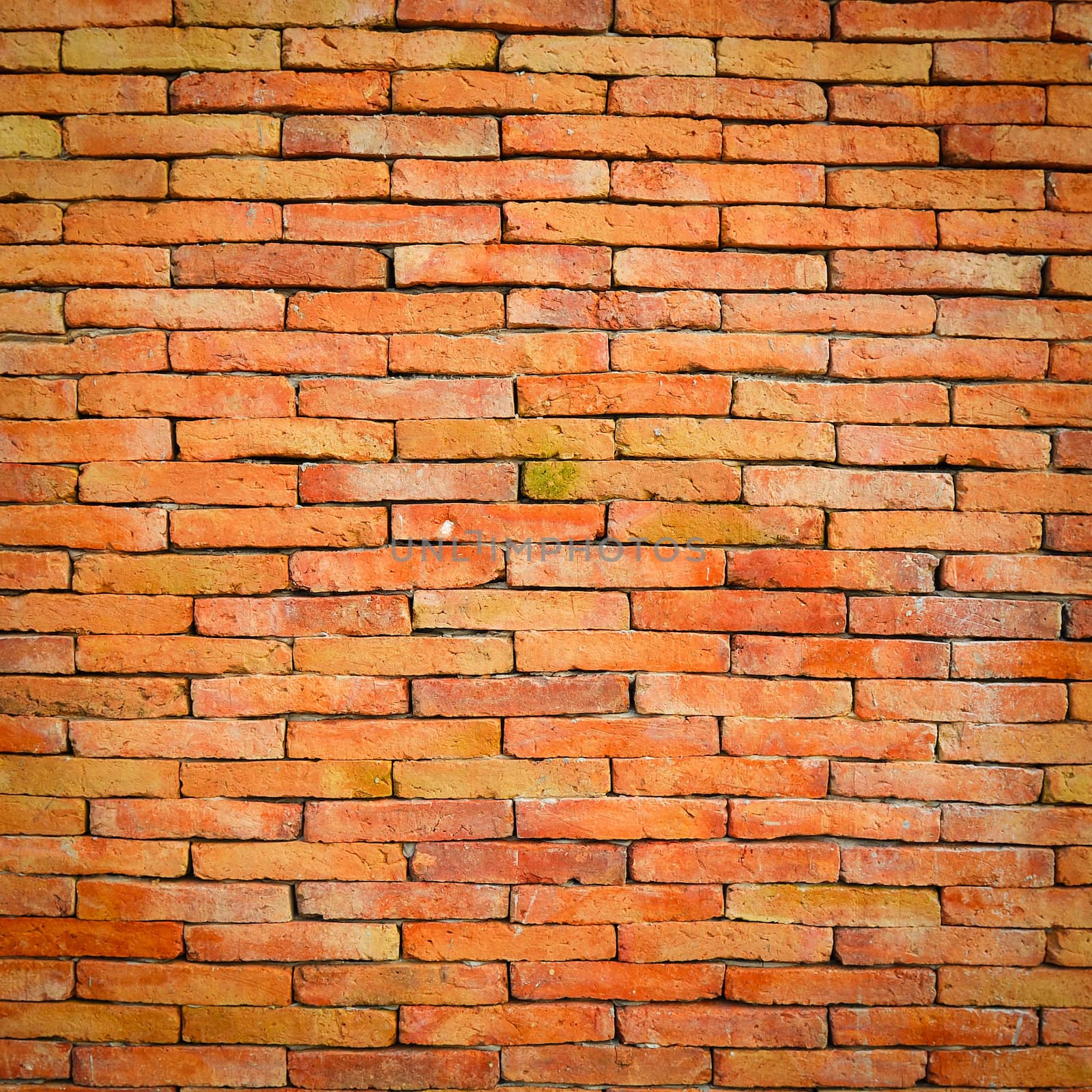 Background of brick wall texture