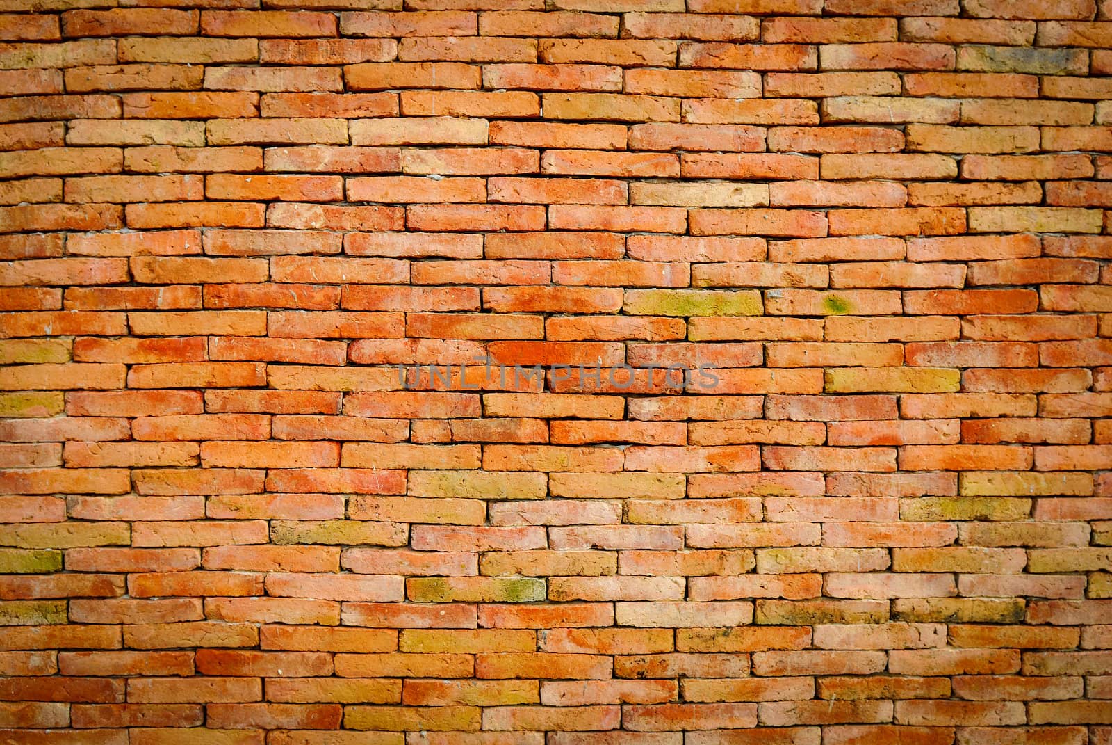 Background of brick wall texture